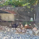 Les Maisons De Gaia D'hote Bed & Breakfast Tuchan