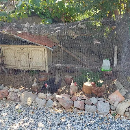 Les Maisons De Gaia D'hote B&B Tuchan